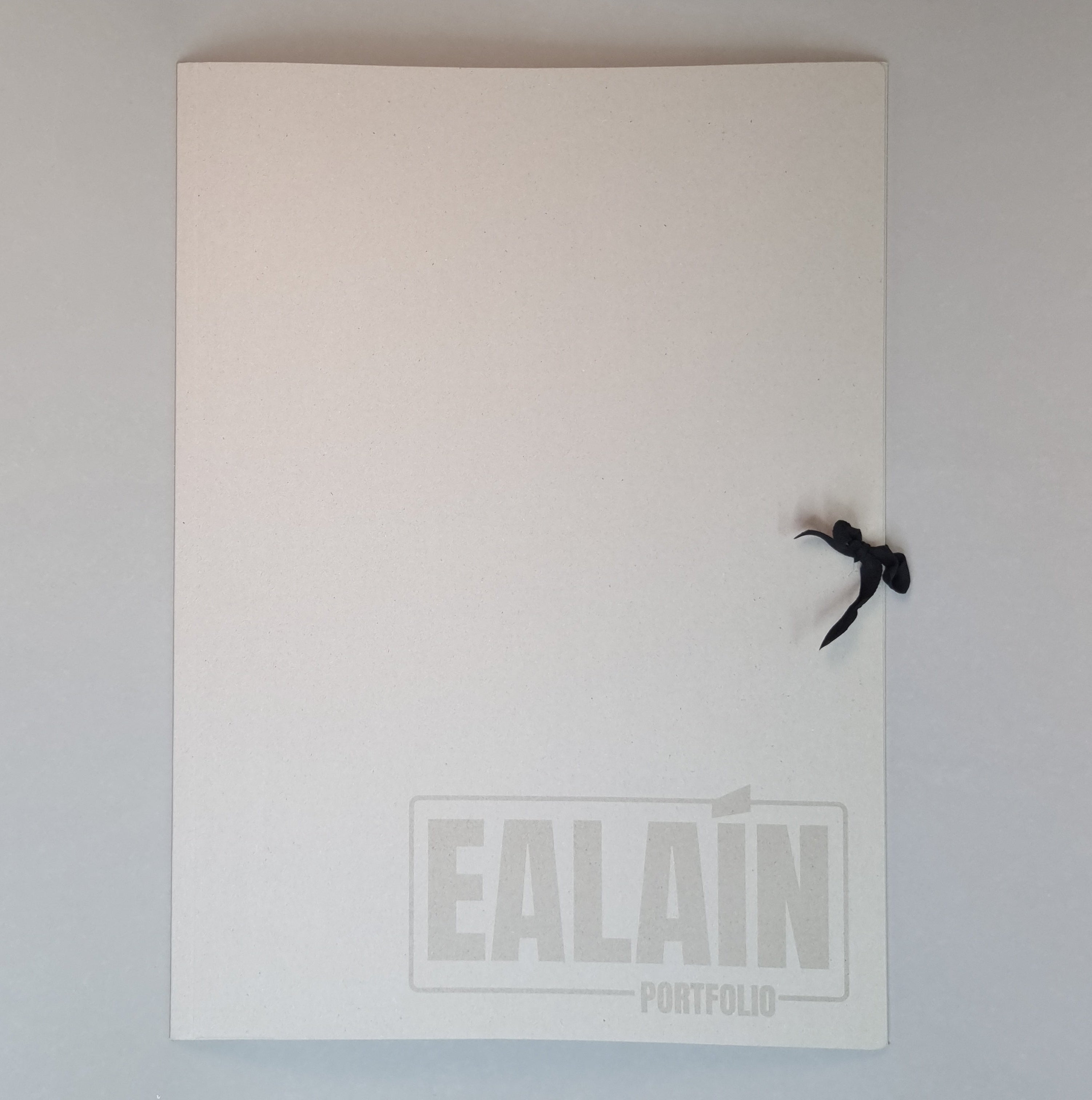 Ealaín / Art Portfolio Folder