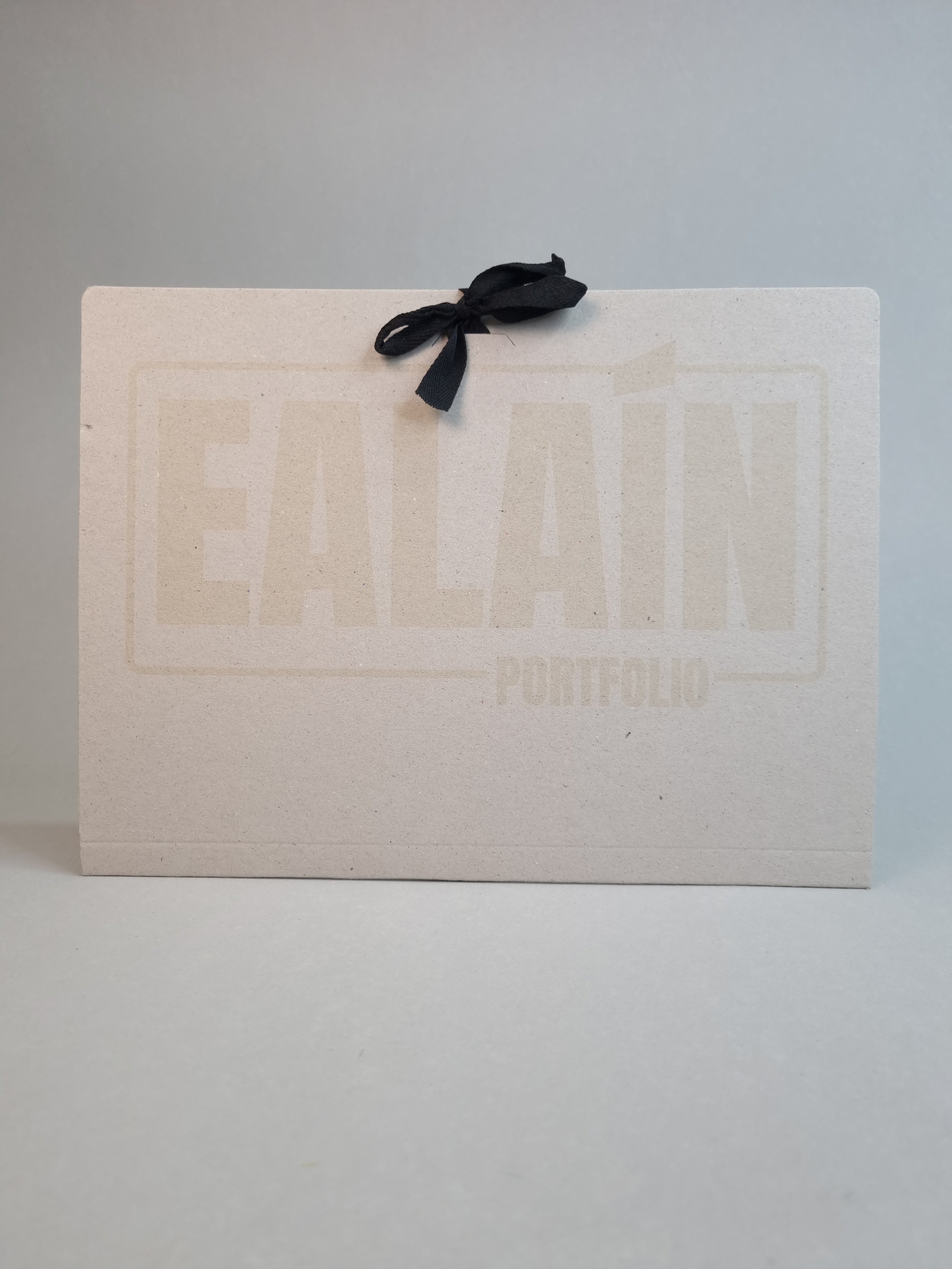 Ealaín / Art Portfolio Folder