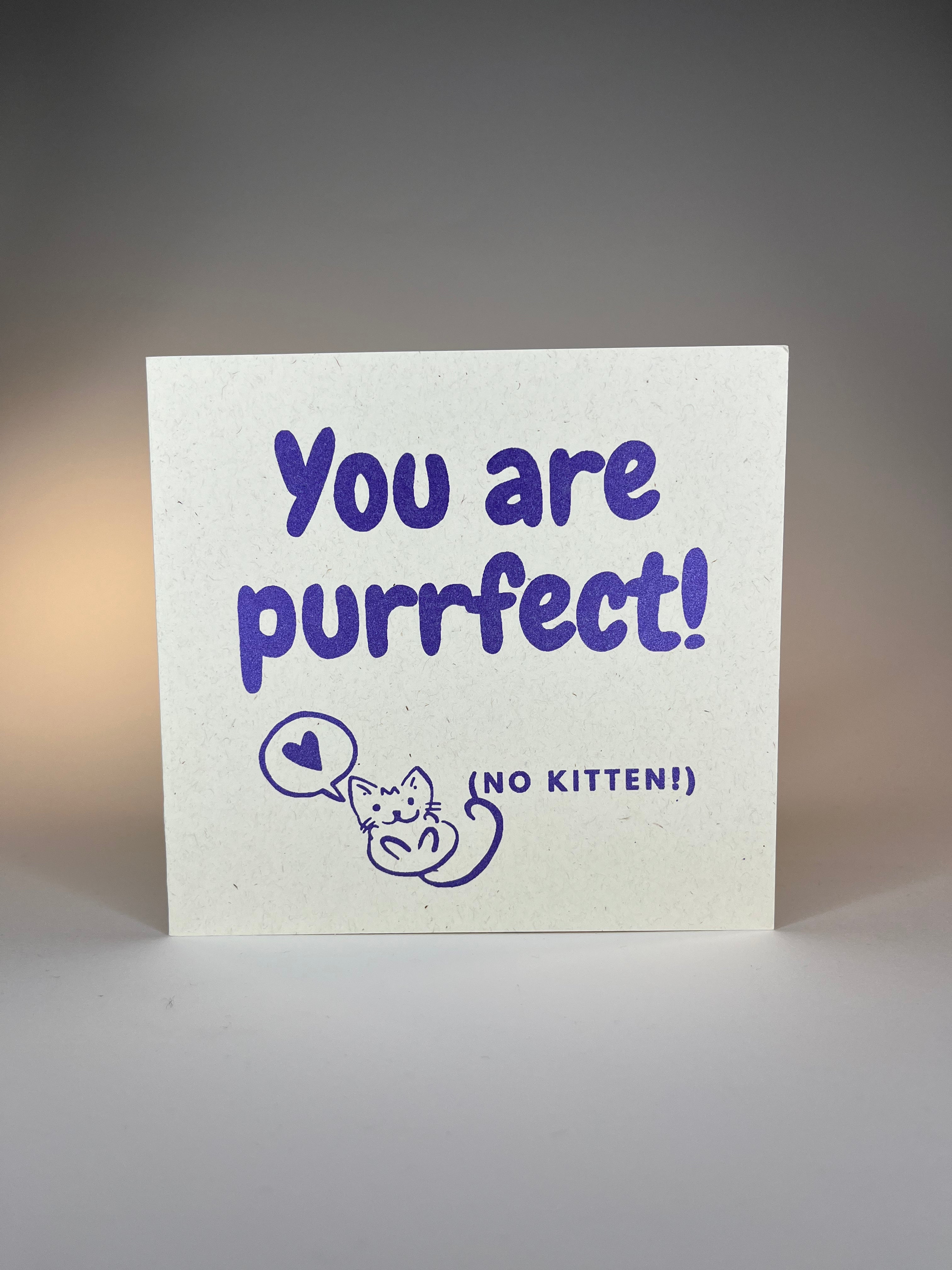 "You Are Purrfect (No Kitten)" Square Card