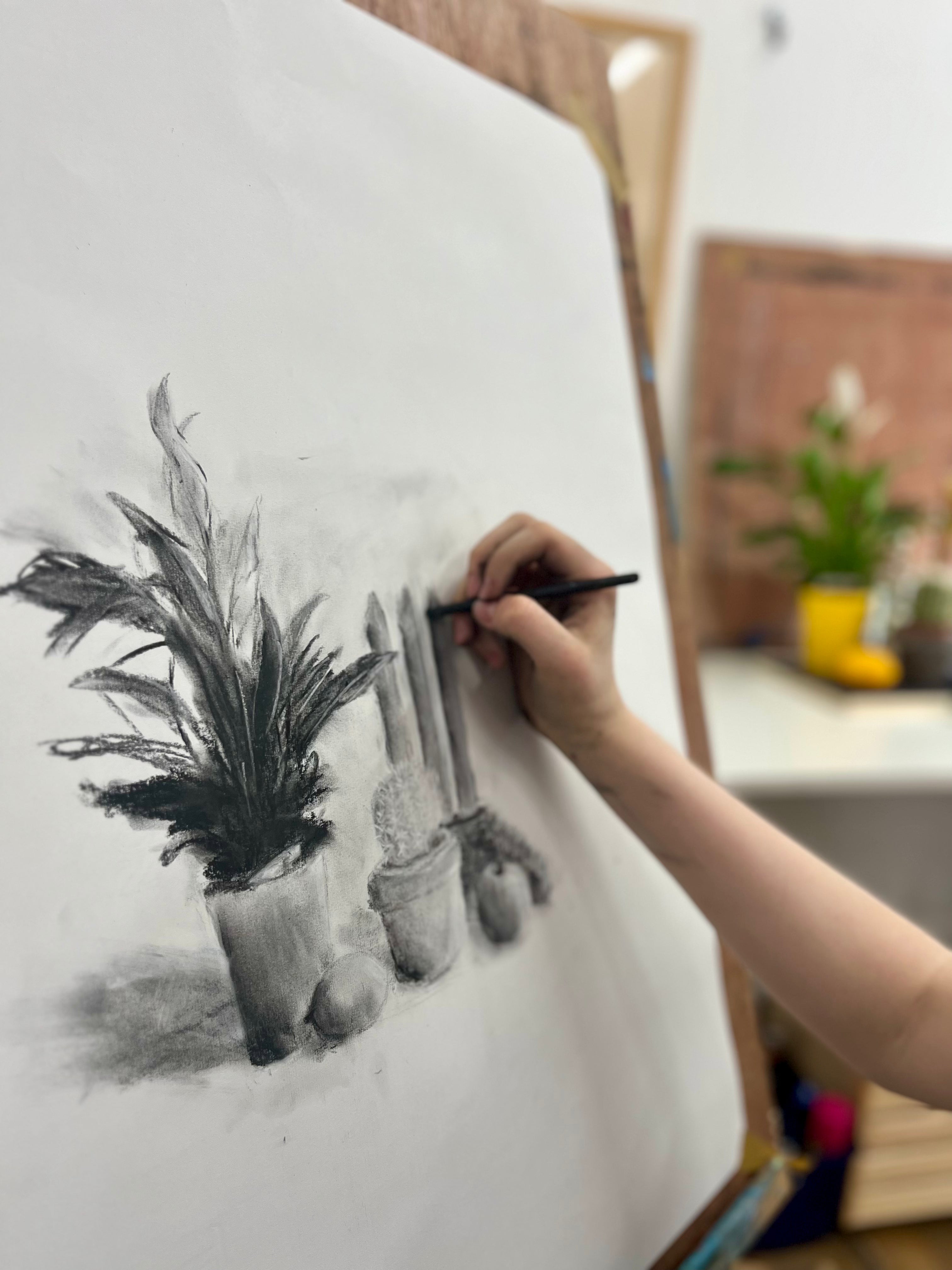 Teenagers Summer Camps for Ages 13–17