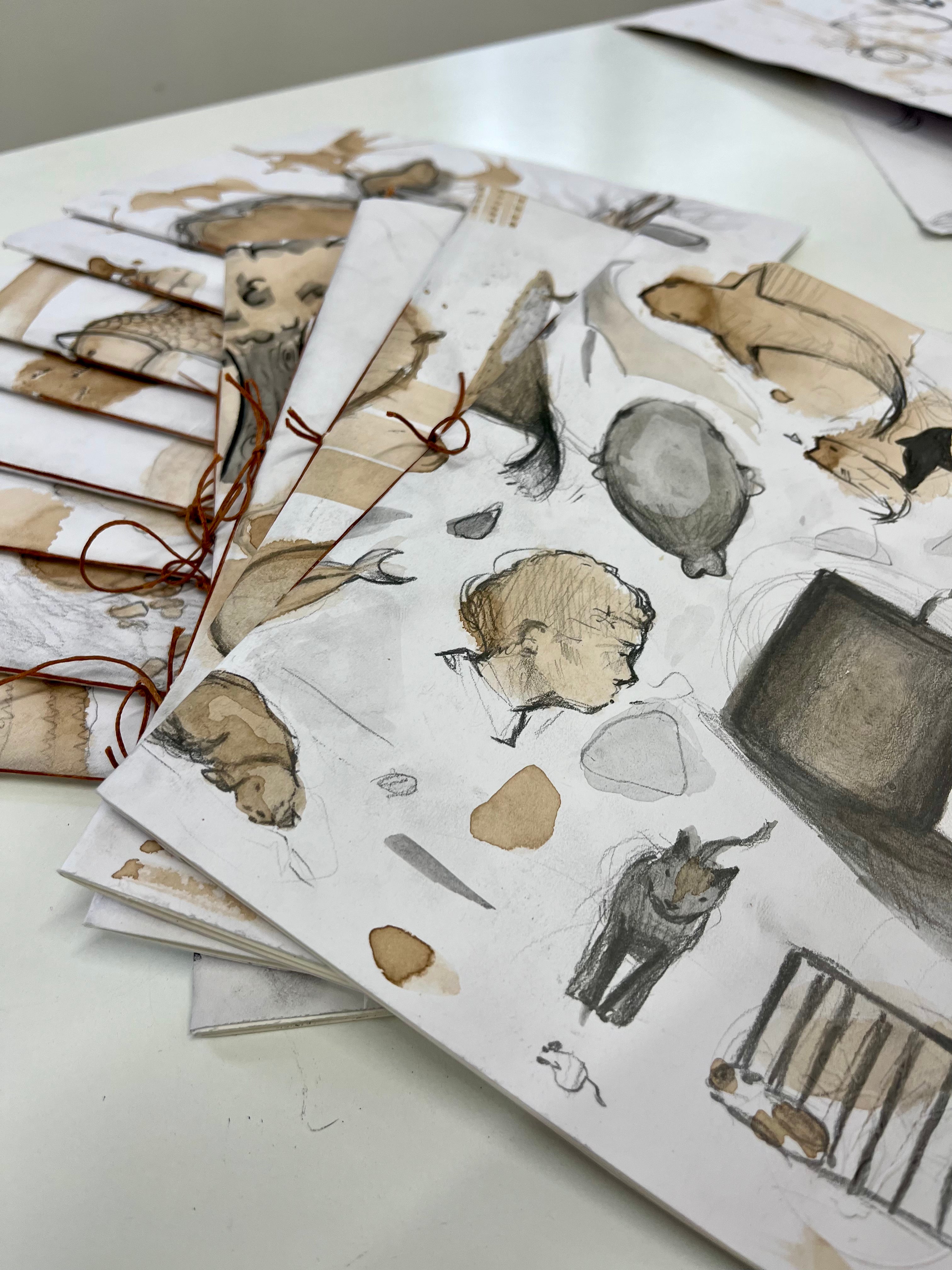 Teenagers Summer Camps for Ages 13–17